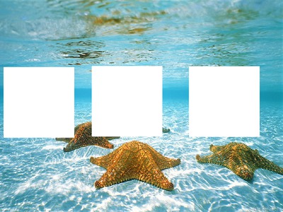 ocean Photo frame effect