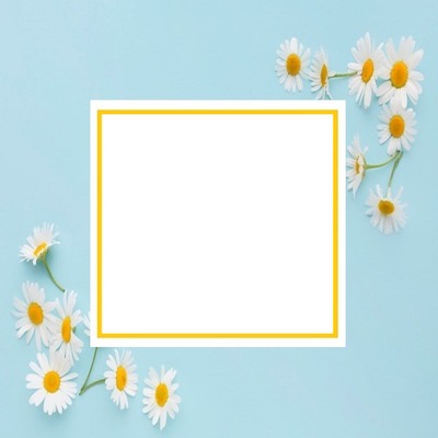 marco celeste y flores, una foto