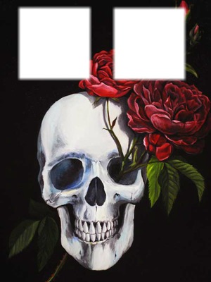 skull and rose Photo frame effect