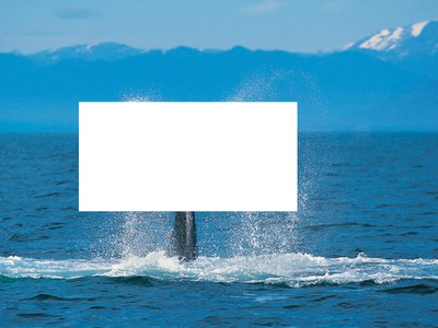duo de baleine Photomontage