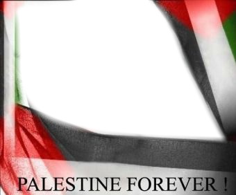 Palestine Fotomontasje