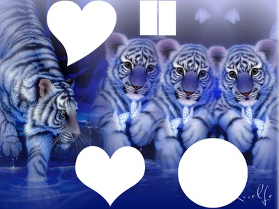 tigre familly Photo frame effect