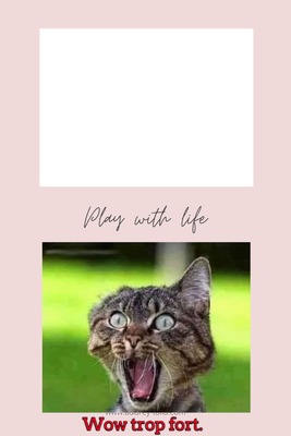 play with life Photo frame effect