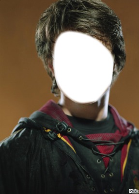 Harry Potter Fotomontagem