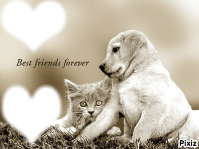 BEST FRIENDS FOREVER Photomontage