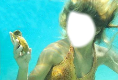 mermaids Fotomontage