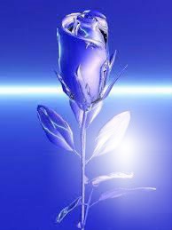 roza blu Fotomontaż