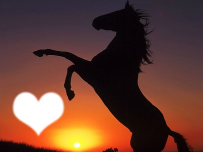 Coucher de soleil : cheval Fotomontažas
