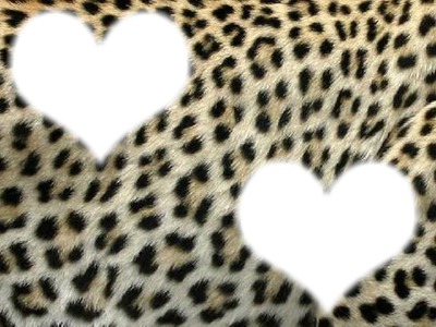 Un amour de léopard Photomontage