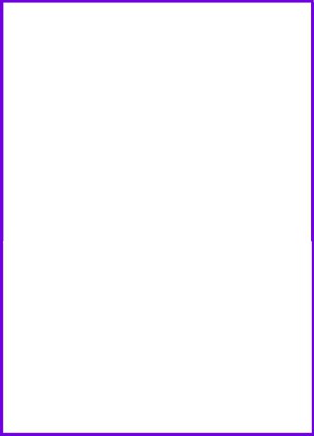 2 rectangles  contour violet