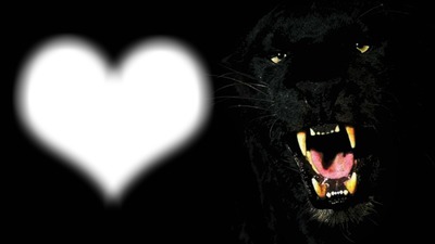 BACK PANTHER LOVE Montage photo