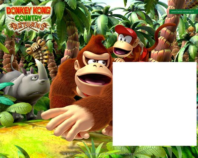DONKEY KONG CONTRY RETURNS Photo frame effect