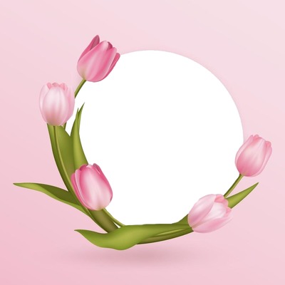 marco circular y tulipanes rosado. Photo frame effect
