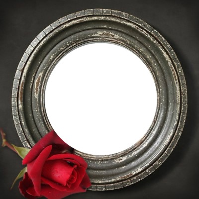 round with rose Photo frame effect