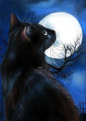 Cc Gato y la luna Montaje fotografico