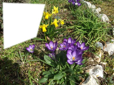 printemps Photomontage