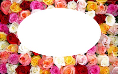 lutina rose Photomontage