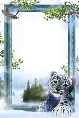 1 photo tigre sauvage Fotomontage