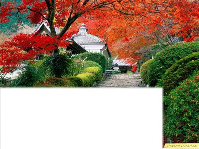 paysage japonais Photomontage