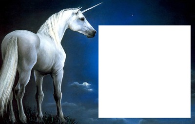 unicornio Fotomontage