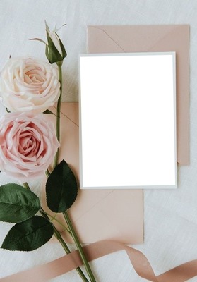 carta y rosas rosadas, una foto. Fotomontaža