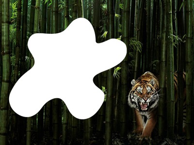 tigres Montaje fotografico