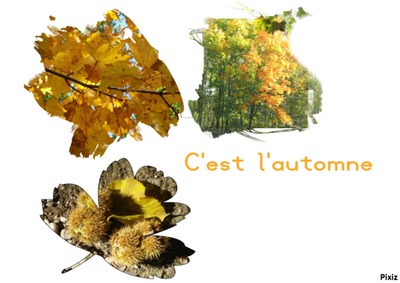 l'automne Fotomontasje