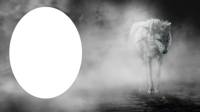 Mgła... wilk Fotomontaż