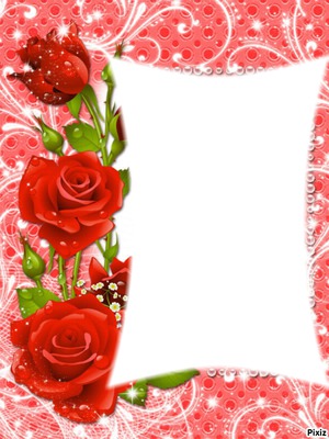 Rose rouge 2 Photo frame effect