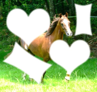 i love horses Valokuvamontaasi