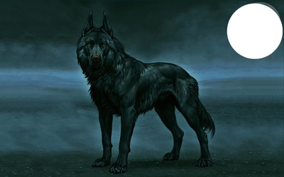 loup noir Fotomontaža