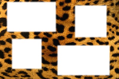 leopard Fotomontaža