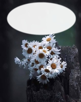 fleur Fotomontasje