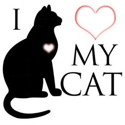 I coeur my cat 1 Fotomontage