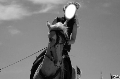 chevaux Fotoğraf editörü
