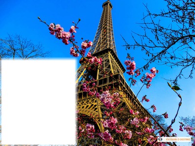 Torre Eiffel / Tour Eiffel Fotómontázs