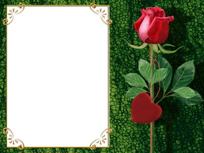 Red Flower Photo frame effect