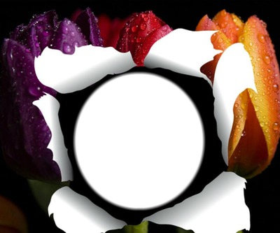 Rostro de flores Fotomontagem