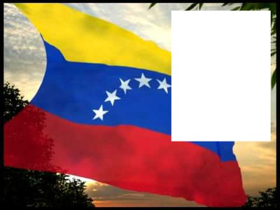 Venezuela flag Montage photo