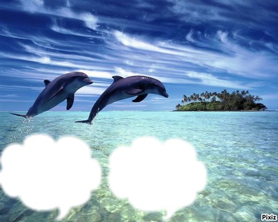 dauphins Montaje fotografico