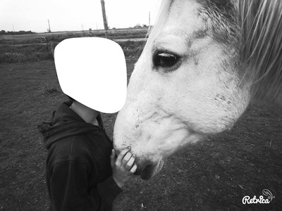 Bisous a un cheval Fotomontaż