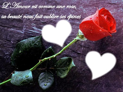 rose et poème Fotomontaż