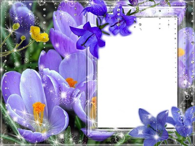 cadre de fleure Fotomontažas