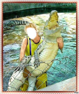 crocodile Fotomontage