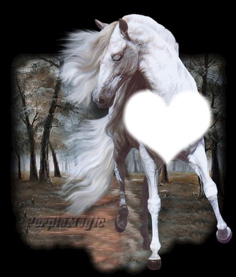 l'amour du cheval est plus grand que le notre Photo frame effect