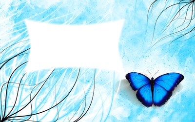 papilon bleu Photomontage