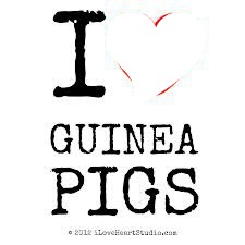 I ♥ GUINEA PIG Fotomontage