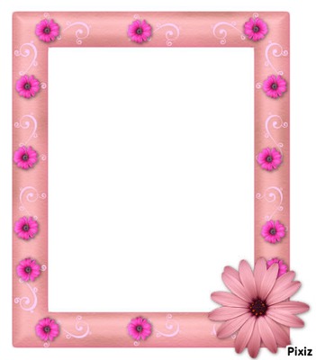 margarita rosa Photo frame effect