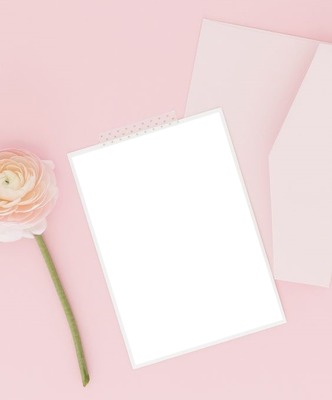 carta y rosa rosada. Fotomontagem