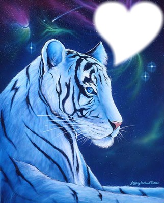 tigre blanc coeur Фотомонтаж